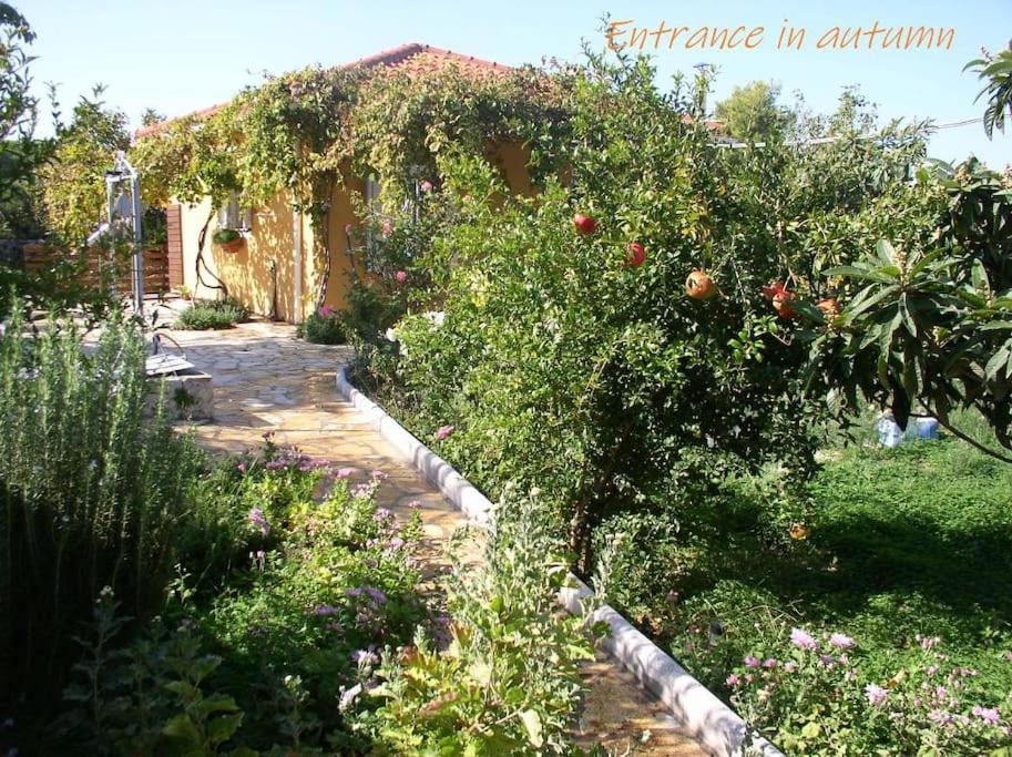 Adonino Residence-The House Of Pomegranates Lakithra ภายนอก รูปภาพ