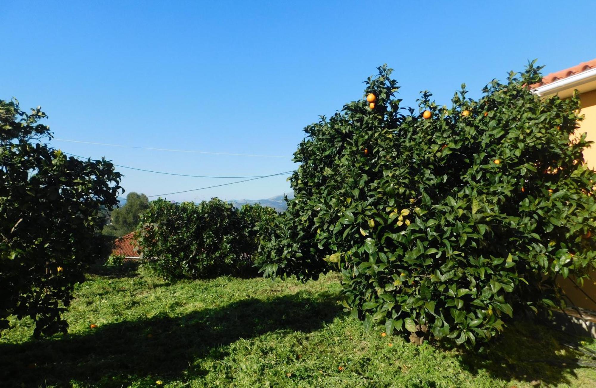Adonino Residence-The House Of Pomegranates Lakithra ภายนอก รูปภาพ